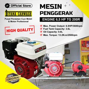 ENGINE 6,5HP tg 200r